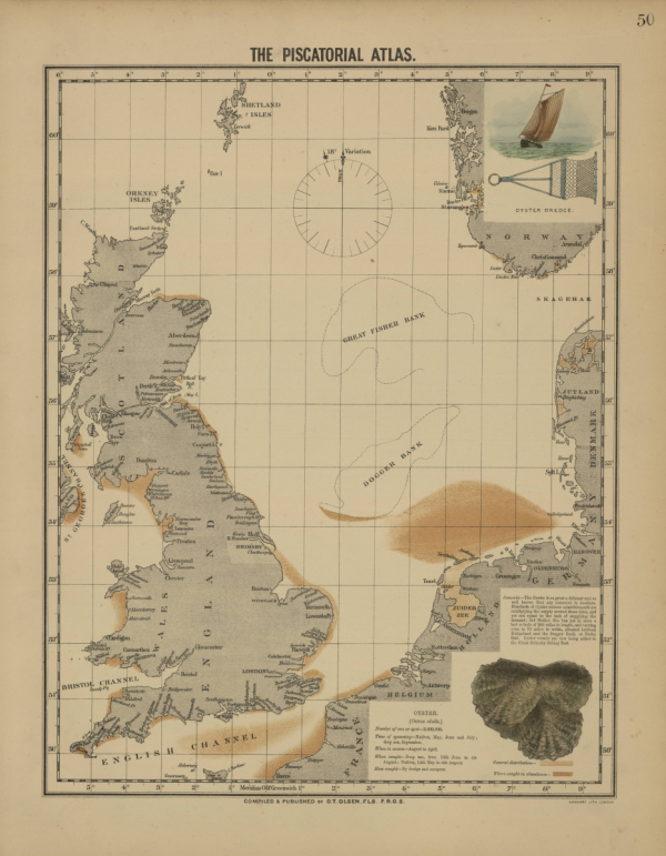 Verspreiding van platte oesters in de Noordzee in 1883 | © Olsen, Wetenschappen