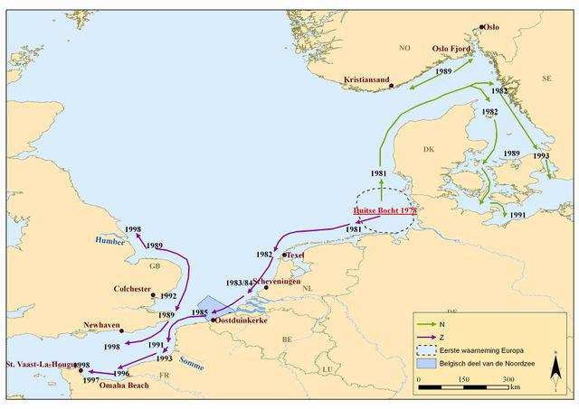 Introductie van de Amerikaanse zwaardschede in Europa Introductie van de Amerikaanse zwaardschede in Europa | © VLIZ (naar Severijns, 2002)
