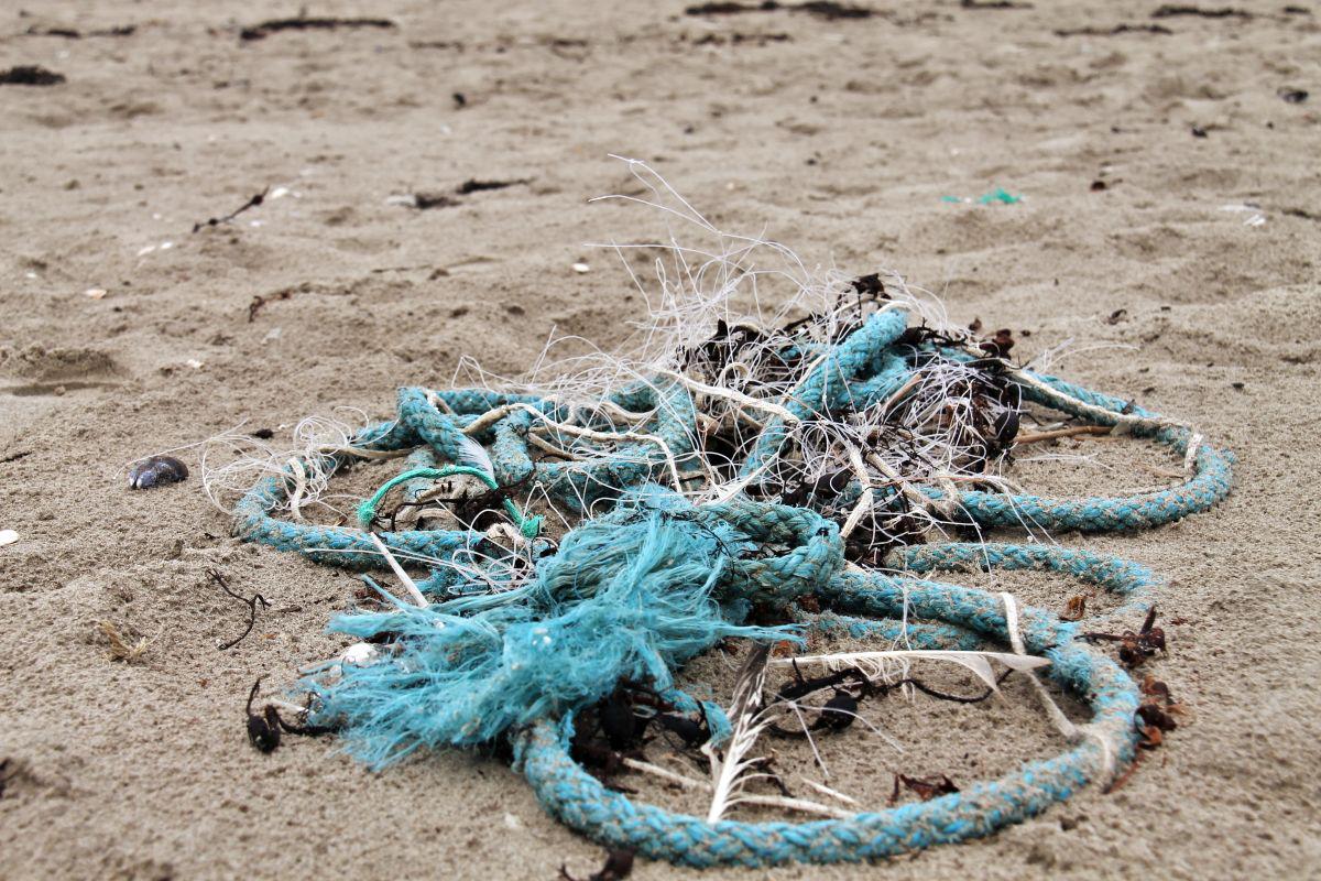 Resten van vissersnetten op het strand van Oostende Resten van vissersnetten op het strand van Oostende | © VLIZ, Leontien De Wulf