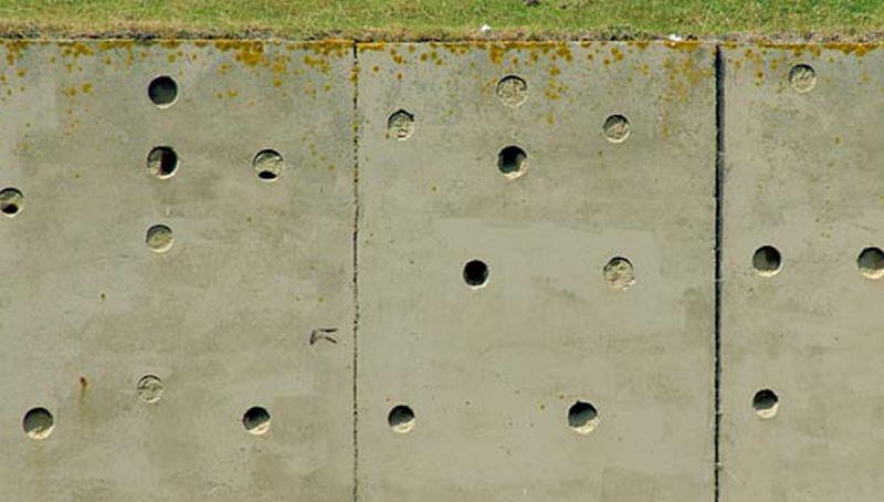 Oeverzwaluwenwand | © Ecomare, foto Fitis, Sytske Dijksen