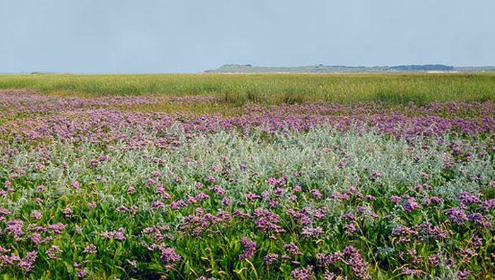 De Slufter op Texel De Slufter op Texel | © foto Fitis, www.fotofitis.nl