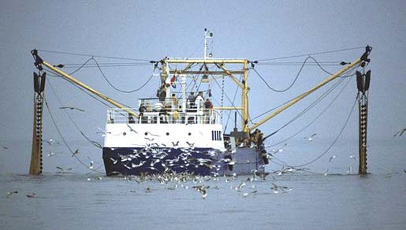Zeevogels foerageren bij boot Zeevogels foerageren bij boot | © Foto Fitis, www.fotofitis.nl