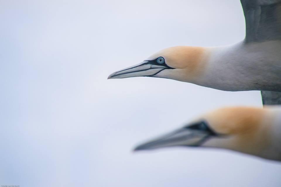 Jan van Gent Jan van Gent | © Merijn van den Bosch