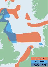 Verspreiding drieteenmeeuw (Noordzee-gebied) | © Ecomare, naar: important bird areas for seabirds in the North Sea
