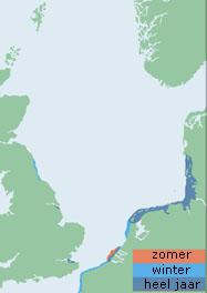 Verspreiding eidereend Noordzeegebied | © Ecomare | Uit: Important bird areas for Seabirds in the North Sea