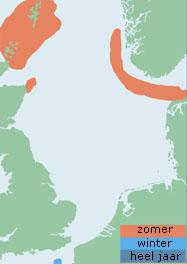 Verspreiding grote jager in het Noordzee-gebied Verspreiding grote jager (Noordzee-gebied) | © Ecomare | Uit: Important bird areas fot seabirds in the North Sea
