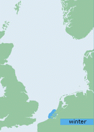 Verspreiding kuifeend Noordzee-gebied | © Ecomare