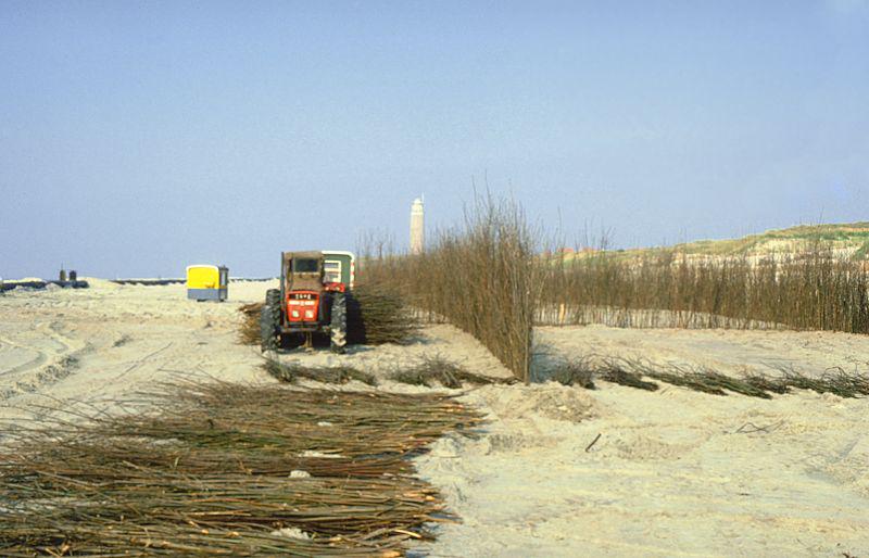 Plaatsen van takkenschermen Plaatsen van takkenschermen | © Ecomare