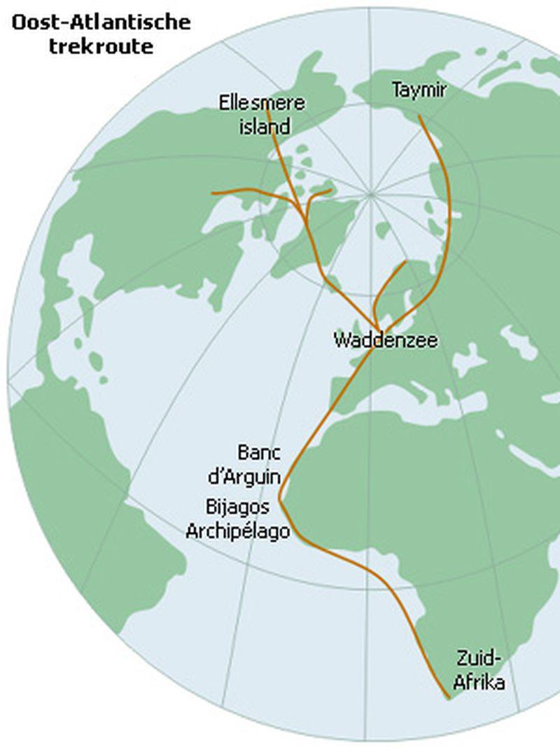 Een van de trekroutes Een van de trekroutes | © Ecomare