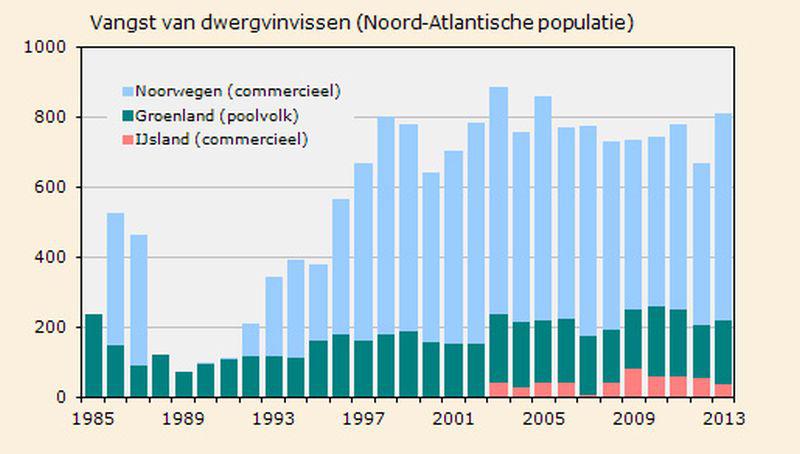 Aantal gevangen dwergvinvissen | © Ecomare | Uit: gegevens IWC