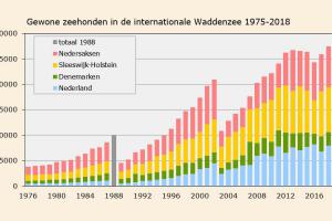 Aantallen gewone zeehonden  in de internationale Waddenzee (1975-2018) | © Ecomare